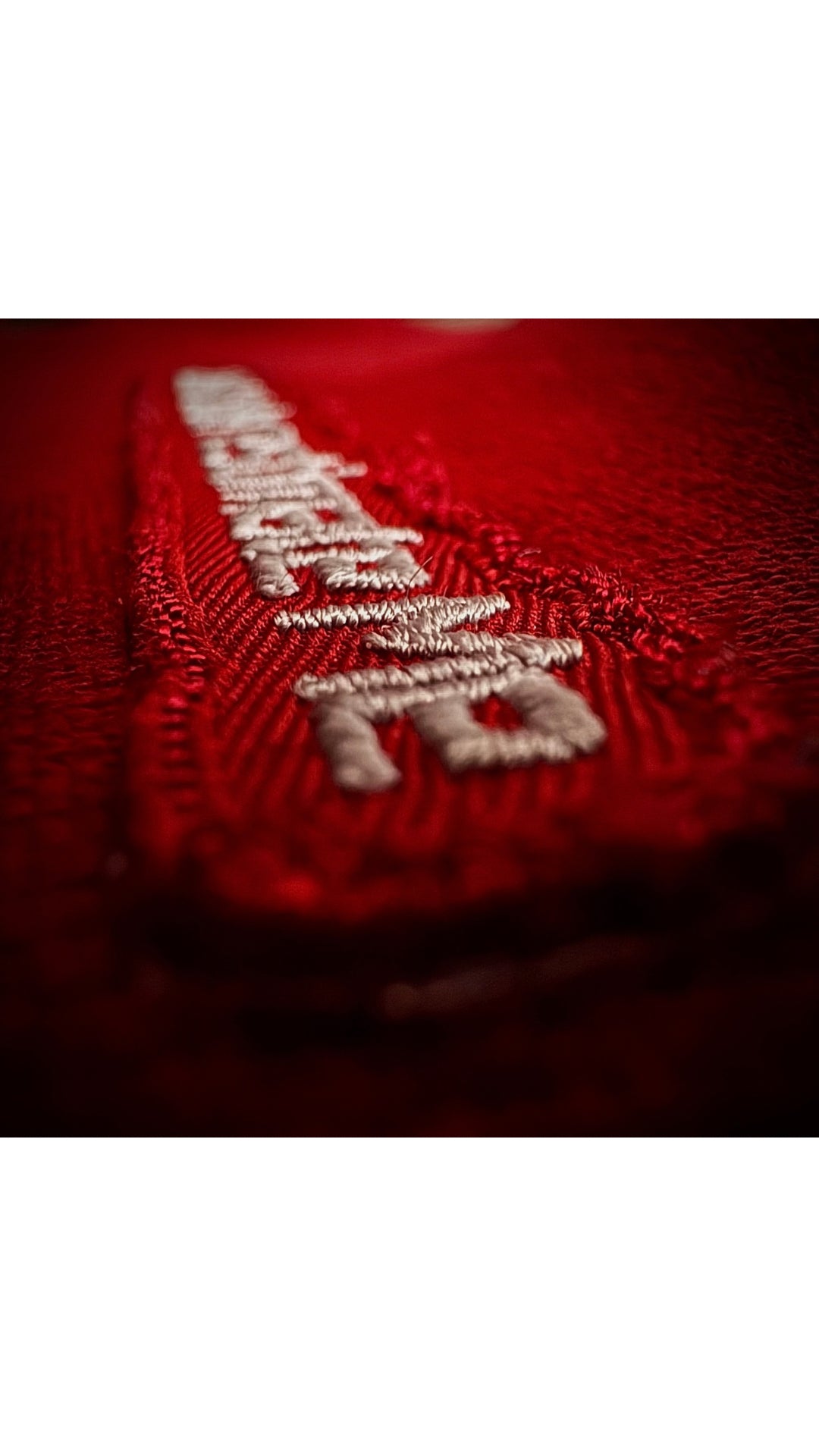 Handcrafted Hoodie w/ Embroidery